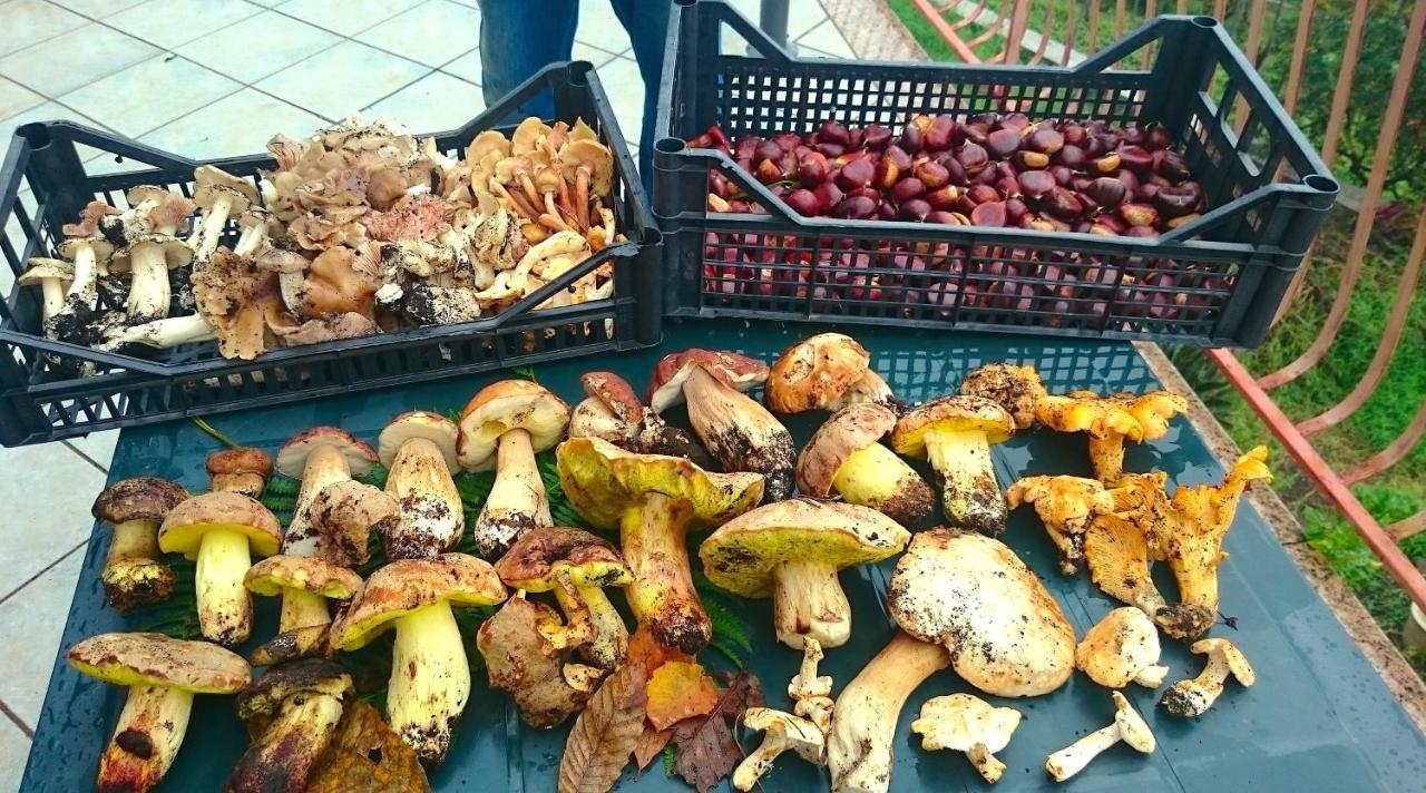 Casa La Vigna Villa Puntalazzo Ngoại thất bức ảnh